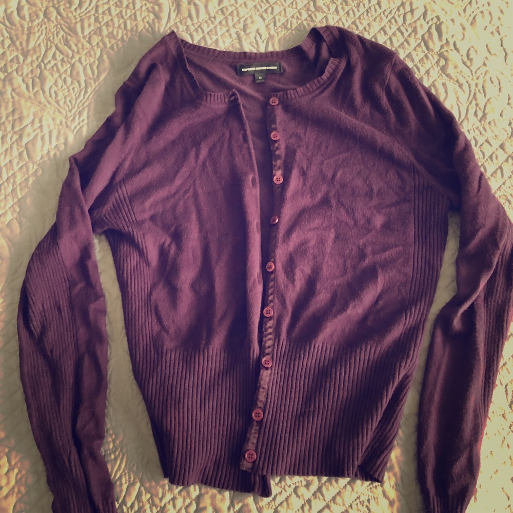 Express Purple Sweater